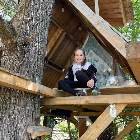 Casa Din Povesti In Mijlocul Naturii! Arad Exteriör bild