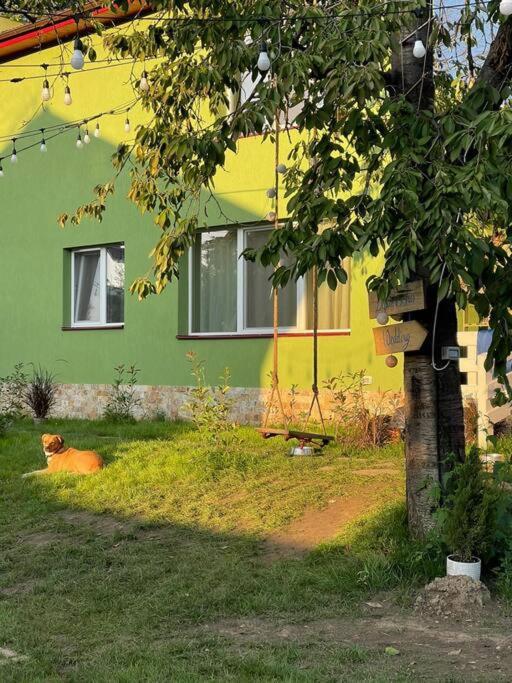 Casa Din Povesti In Mijlocul Naturii! Arad Exteriör bild