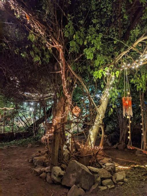 Casa Din Povesti In Mijlocul Naturii! Arad Exteriör bild